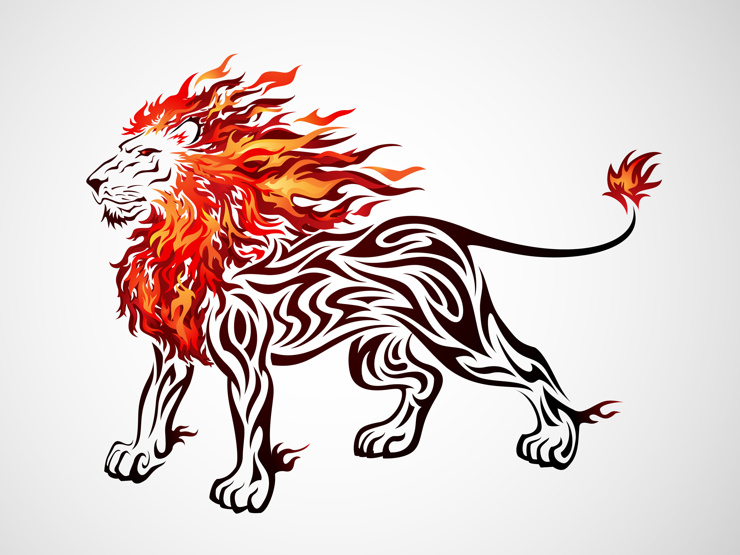Lion on Fire